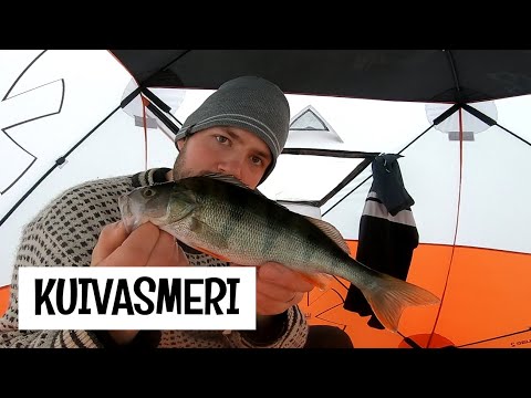 KUHA MERELTÄ VESISATEESSA - PILKILLÄ KUIVASMERELLÄ OULUSSA