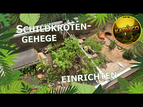 Setting up a tortoise enclosure! I The perfect outdoor enclosure for my tortoise babies!