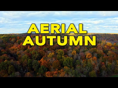 Aerial Autumn - Beautiful Peak Fall Foliage Drone Footage in Bloomington, IN