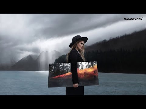 Cricket ft. Argjentina - Hush