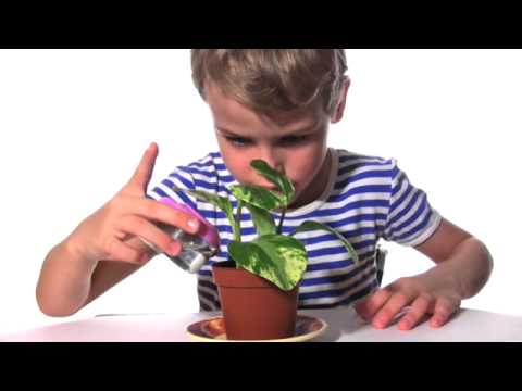 Blommor Skövde Blomsterhallen i Skövde AB