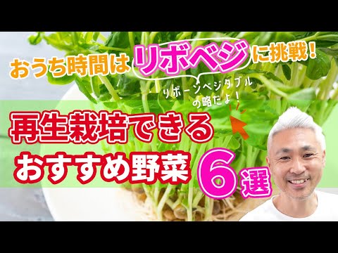 , title : 'おうち時間はリボベジに挑戦！再生栽培できるエコ野菜６選'