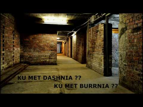 Vetima ft. N.R. - PSE (2016)