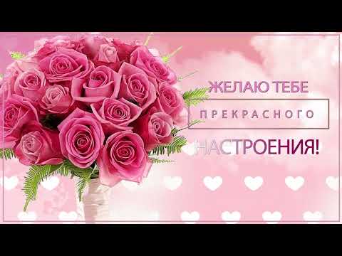 ДОБРОЕ УТРО!💗Желаю тебе прекрасного настроения #доброеутро #утро