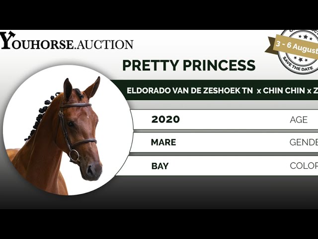 Pretty Princess homevideo