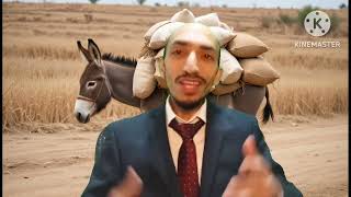 חזרת השבטים לכנען. פרשת וישב