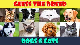 Guess the Dog and Cat Breeds 🐕 🐈