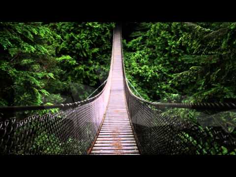 Luca Debonaire & Robert Feelgood - Can't Have You Anymore