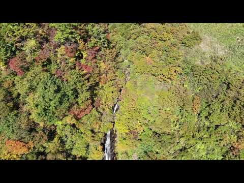 八反滝の紅葉（2020年10月29日ドローンで撮影）