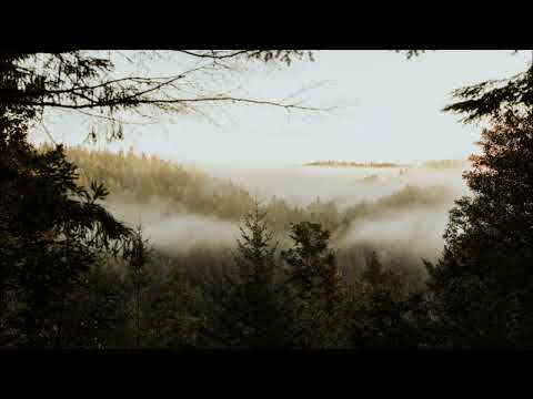 aeneh - Despair (w/ .diedlonely)