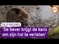 GLD Nieuws 21 februari 2022