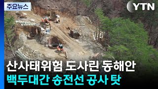 송전선로 공사에 훼손된 백두대간...산사태 위험 심각 / YTN