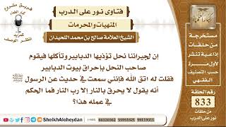 صورة 10283 -  حكم تعذيب وحرق الحشرات في النار  - نور على الدرب