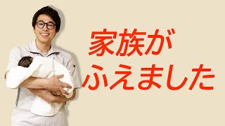 [情報] ロンブー田村淳に第2子女児誕生