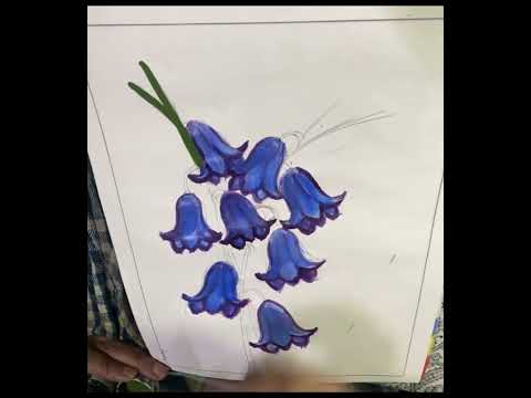 Bluebell flowers