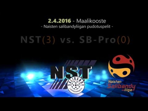 NST - SBPro maalikooste 2.4.2016