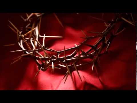 download lagu mp3 mp4 Tero Do Sangue De Jesus, download mp3 Tero Do Sangue De Jesus free download, download mp3 Tero Do Sangue De Jesus