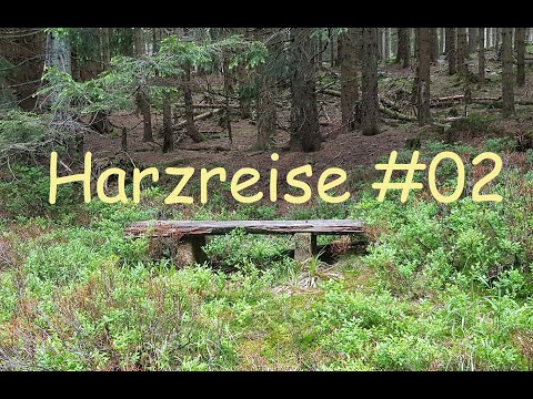 Mystischer Wald und Kaiserliche Stadt | Wandern im Harz | Harzreise #02 | Reisevlog | JOZZILIKE