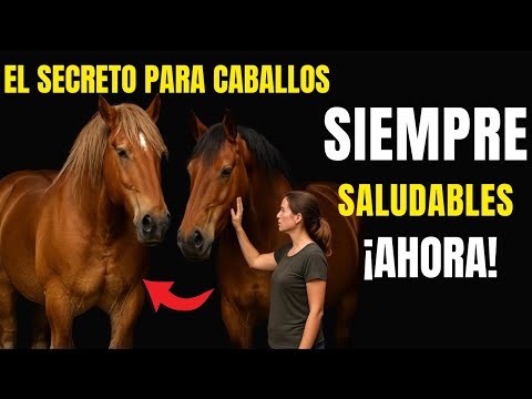 Salud Equina: 5 Cuidados ESENCIALES para tu Caballo