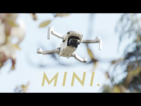 Mavic Mini 2020 Review - Still Worth It?