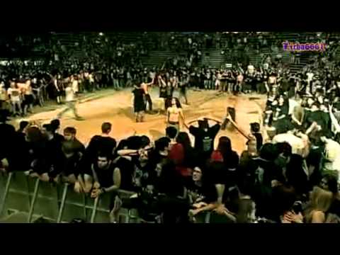 download lagu mp3 mp4 Septic Traduccion, download lagu Septic Traduccion gratis, unduh video klip Septic Traduccion