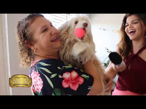 Massas Fino Sabor em sua casa - Professora Célia Câmara