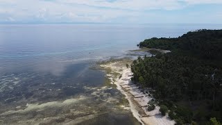 Sabas Beach and Campsite Drone Shots