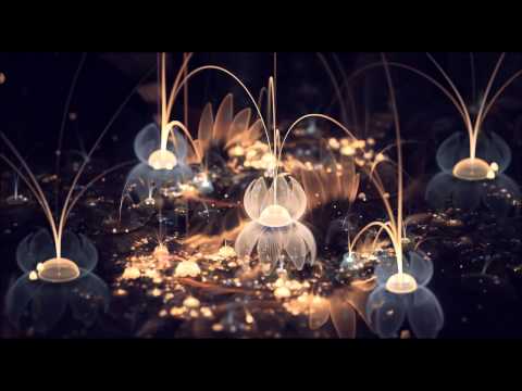 download lagu mp3 mp4 Acidfactory Morgentau, download mp3 Acidfactory Morgentau free download mp3, download mp3 Acidfactory Morgentau