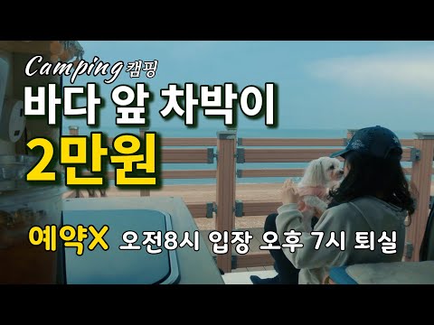 Couples Camping in Korea/Truck camping/a camping trip/Puppy/Camping
