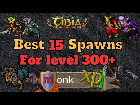Where to hunt a Level 300 Monk  [Tibia Solo Monk]