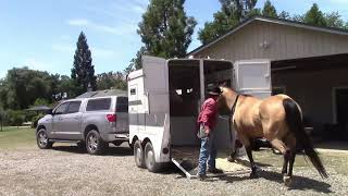Safely Teaching Your Horse How To Load Into A Trailer, Mike Hughes, Auburn California