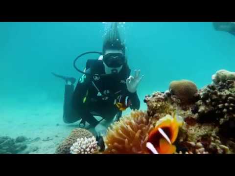 Scuba Diving in the Red Sea (Makadi Bay, Egypt)