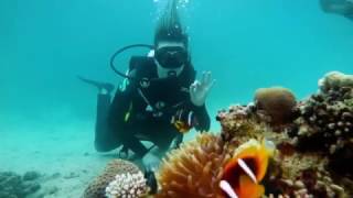 Scuba Diving in the Red Sea (Makadi Bay, Egypt)