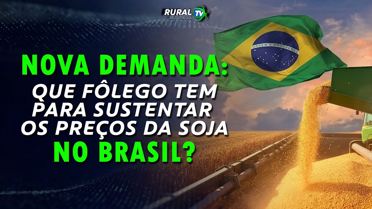 NOVA DEMANDA: QUE FÔLEGO TEM PARA SUSTENTAR OS PREÇOS DA SOJA NO BRASIL?