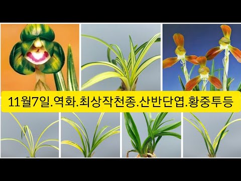 유튜브 썸네일