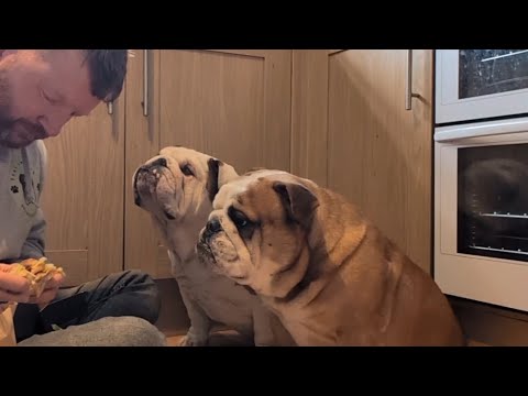 Me, Pablo and Diego reviewed some of the new McDonalds Menu items 