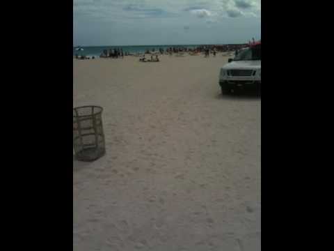 Schweizer stossen auf den Spring Break