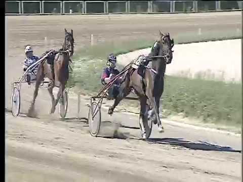 Trotto 17/09/2017 - 1ª corsa