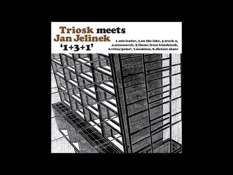 Triosk meets Jan Jelinek - 1+3+1 (2003, nu jazz, FULL ALBUM)