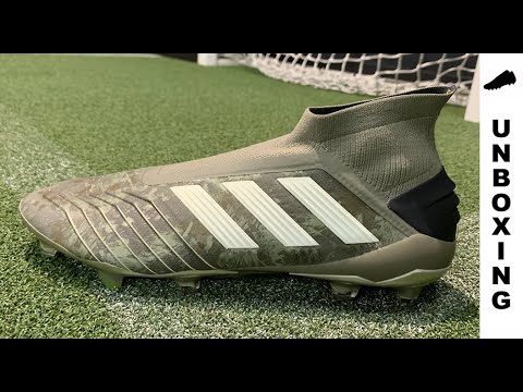 adidas Predator 19+ FG/AG Encryption pack