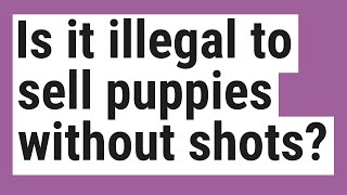 Is it illegal to sell puppies without shots?