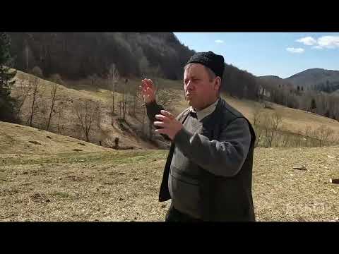 BACIUL NELUS PANTEA DIN DAMBOVICIOARA .MEDIC VETERINAR ȘI CRESCĂTOR DE OI 🐑.ARE STÂNĂ ÎN MUNȚI