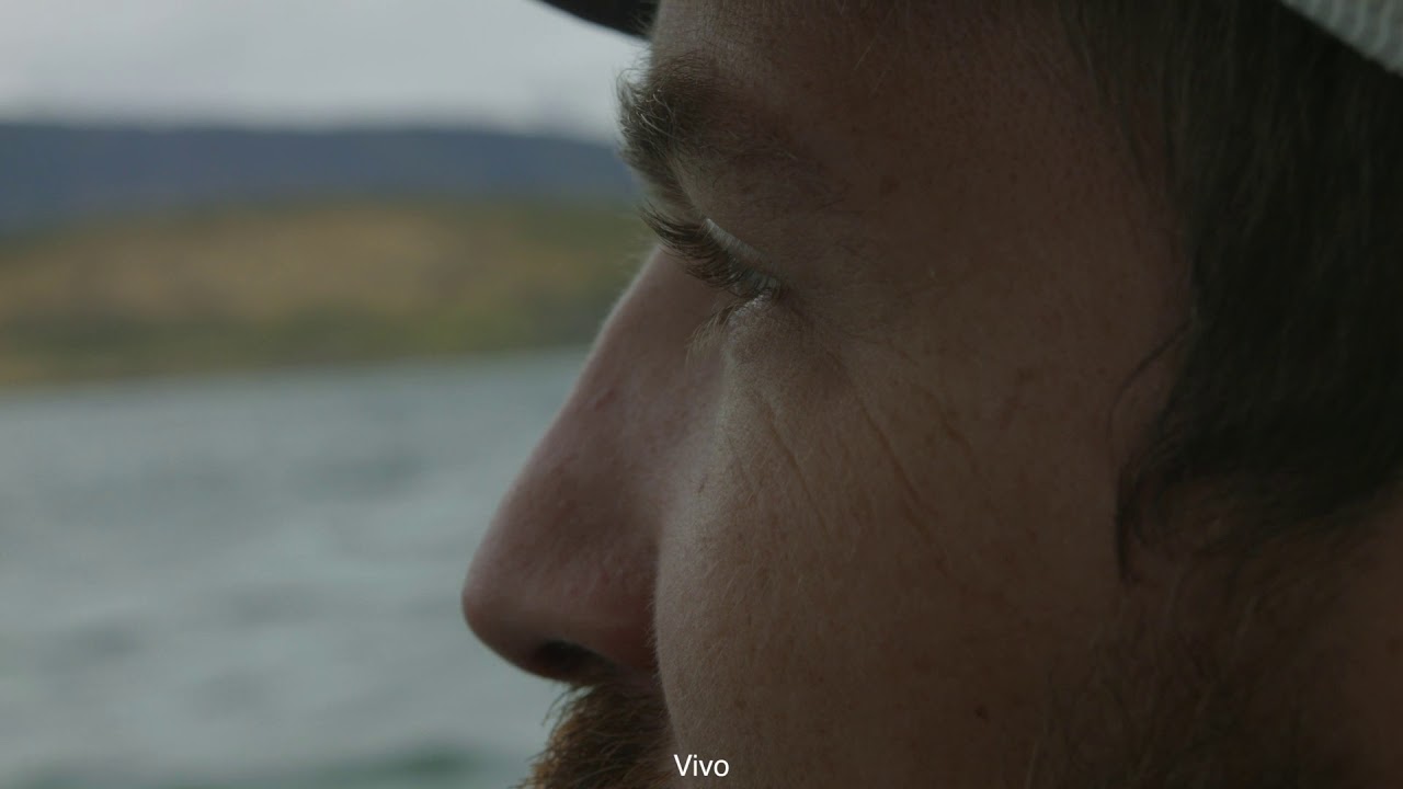 Into the Wild