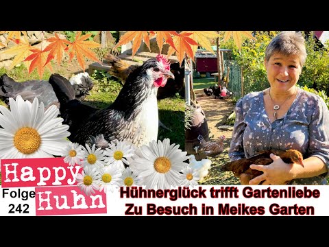 Hühnerglück trifft Gartenliebe Teil 3: Meikes Hühnerhaltung in Baden-Württemberg - HAPPY HUHN E242