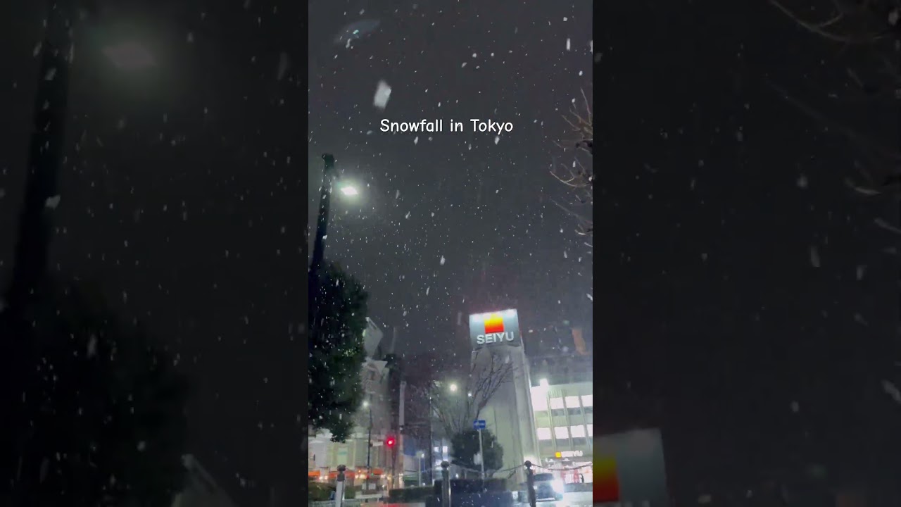 Snowday in Japan 2026☃️❄️ #newyear2026 #snowfall #tokyo #japan #foryoupage #shortfeed