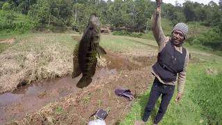 preview picture of video 'GILA!!! Ikan Ikan Disini Rakus Rakus Banget'
