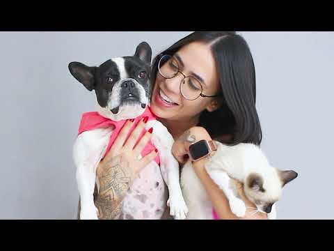 KILIQUINHA AGORA TEM UM GATO