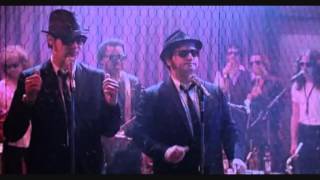 the blues brothers - stand by your man (with lyric)