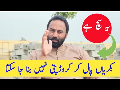 It is true that you cannot become a millionaire by goat farming | goat farming | Chakwal Goat Farm |