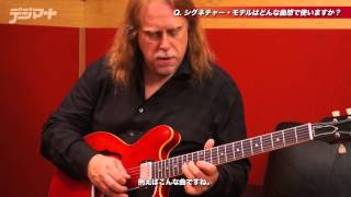 Warren Haynes plays Gibson Signature ES-335 / Soulshine / The Allman Brothers Band